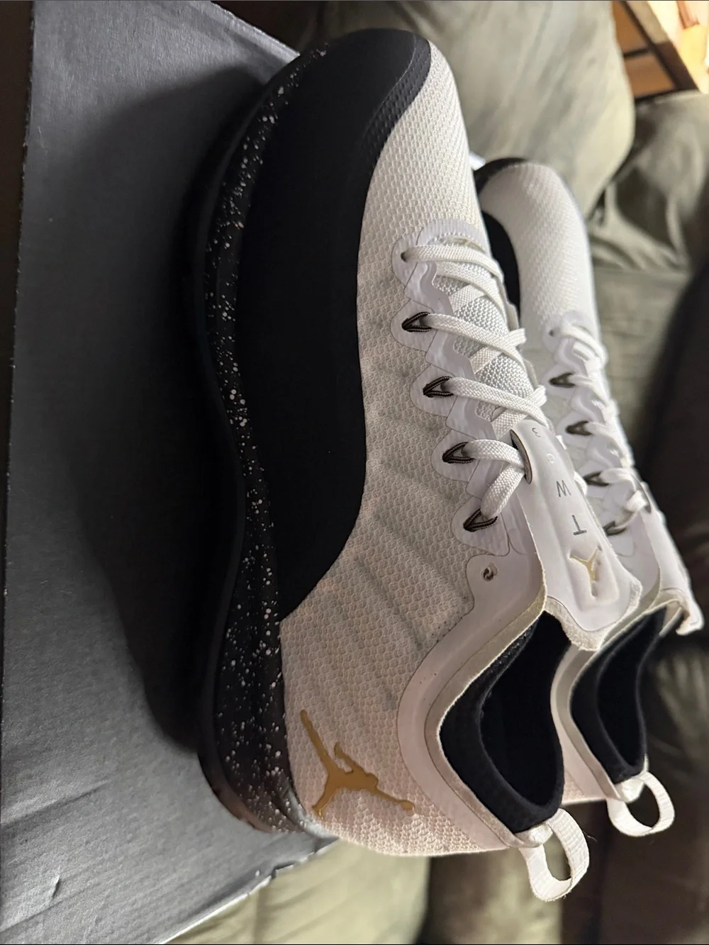 Jordan 12 Trainer Prime